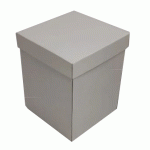 Kutija za tortu 25x25x23