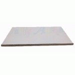 Srebrna tacna 50x35cm